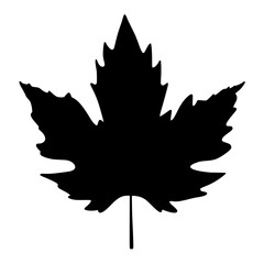 leaf silhouette vector illustration
