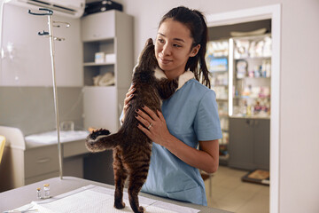 Asian veterinarian intern in blue uniform hugs tabby cat at table in clinic