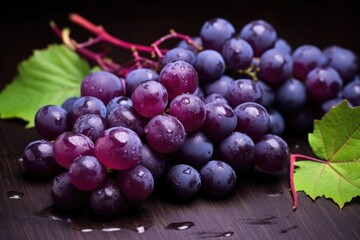 cluster of purple grapes against a dark leaf background