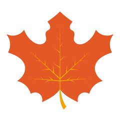 Obraz premium Autumn Leaves Element