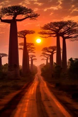 Zelfklevend Fotobehang Avenue of the Baobabs, Madagascar © Fabio
