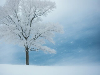 Fototapeta na wymiar snow on trees winter background. AI Generative