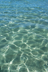 The transparency of sea water in summer