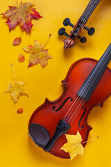 Two Old violins on yellow autumn maple leaves background. Top view, close-up.