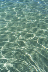 The transparency of sea water in summer