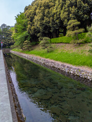 Fototapeta na wymiar Moat with clear water (Ashikaga, Tochigi, Japan)
