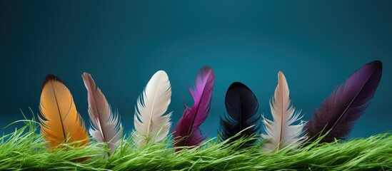 Feathers lying in the lawn - Powered by Adobe