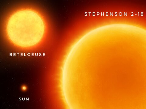 The largest star in the universe compared to Betelgeuse and the Sun. Red supergiant Stephenson 2-18.