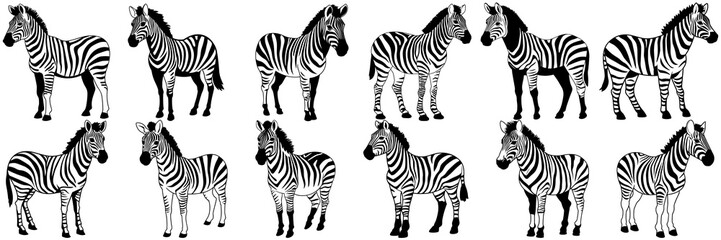 Zebra safari silhouettes set, large pack of vector silhouette design, isolated white background