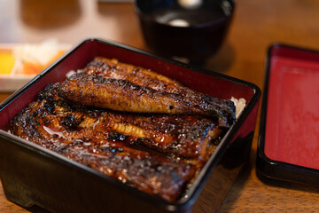 美味しそうな鰻重