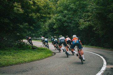 Downhill in professional cycling race. Athletes in green summer nature on the road