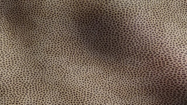 Rippling Animal Skin Texture. 3D Abstract.