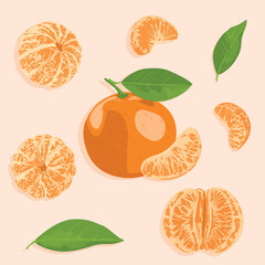 Tangerines. Set of vector icons of a whole tangerine and its peeled segments. Citrus icons.