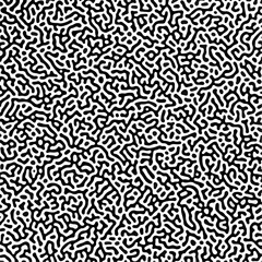 Fototapeta premium Turing abstract leopard black and white fabric design. Floral backdrop line illustration pattern. Vector ornament textile seamless art design. Textured wallpaper vintage background with light