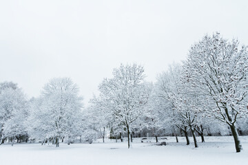 Landscape winter attack in city park, fresh snow on the trees with colourful leafs, Beautiful winter scenery