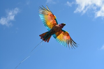 Kite like bird is flying in blue sky