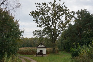 Baroque Chapel (kapliczka) stands at crossroads of field roads, in shade of old tree. Gora Chelmeczki. Bierun, Poland.