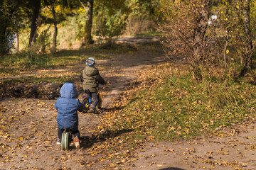 Family walking with kids in the autumn forest with yellow bright leaves
