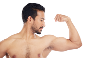 Body builder, bicep flex and asian man with muscle for fitness in png or isolated, transparent background. Growth, progress and arm with healthy person for workout or exercise or wellness in sports