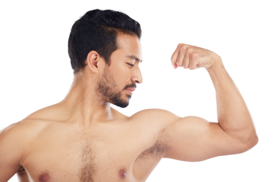 Body builder, bicep flex and asian man with muscle for fitness in png or isolated, transparent background. Growth, progress and arm with healthy person for workout or exercise or wellness in sports