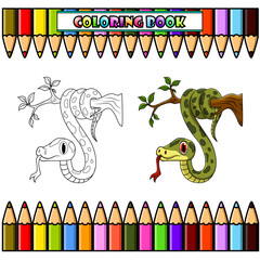 Green snake on tree branch for coloring book