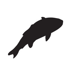 泳ぐ魚　シルエットイラスト