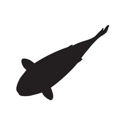 泳ぐ魚　シルエットイラスト