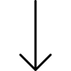 Down Arrow Icon