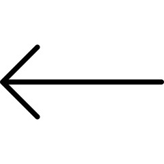 Left Arrow Icon