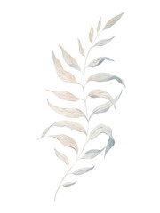 Watercolor floral illustration of winter frozen branch with leaves