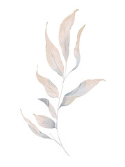 Watercolor floral illustration of winter frozen branch with leaves