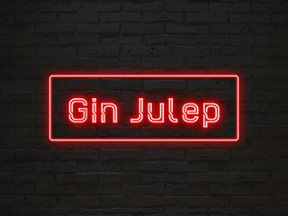 Gin Julep のネオン文字 - obrazy, fototapety, plakaty