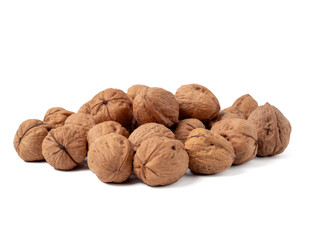 Walnut isolated on white background. Walnut closeup on white.