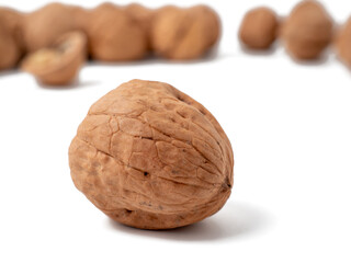 Walnut isolated on white background. Walnut closeup on white.