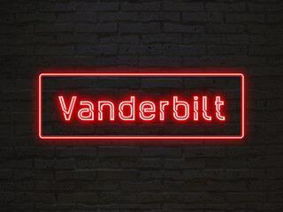 Vanderbilt のネオン文字