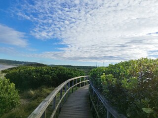 Obraz premium railway bridge over the river