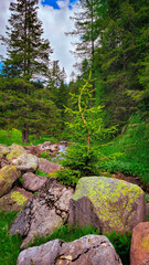 Wandern Südtirol, San Pellegrino