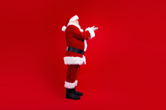Side profile full body photo of pleasant santa claus with white beard hands hold object empty space isolated on red color background