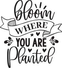 Bloom Where You Are Planted