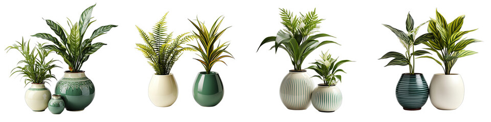 retro vantage and modern vase and interior plant pot    Hyperrealistic Highly Detailed Isolated On Transparent Background Png File