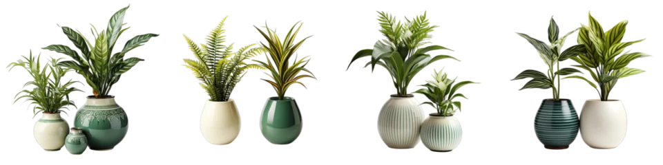 Fotobehang retro vantage and modern vase and interior plant pot    Hyperrealistic Highly Detailed Isolated On Transparent Background Png File © Wander Taste