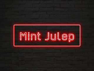 Mint Julep のネオン文字 - obrazy, fototapety, plakaty