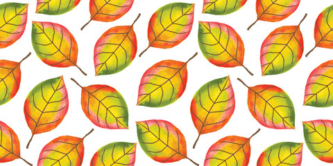 Dive into the beauty of fall with Autumn leaf pattern. A symphony of colors and shapes, it captures the essence of the season, bringing warmth and charm of Autumn. 