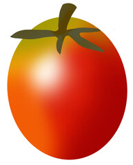 Tomato 