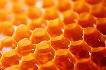 Fragment of honeycomb with full cells in bright sunlight.