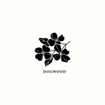 Flat vector dogwood branch illustration
