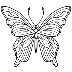 black and white butterfly