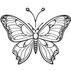 butterfly illustration
