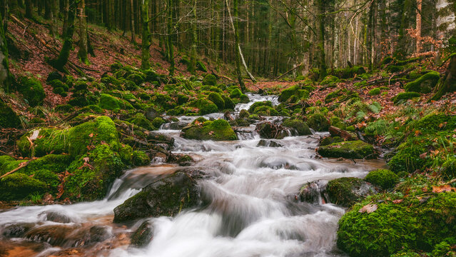 Hohwald, Bas-rhin, France, River Andlau in Alsace in the Bas-Rhin department of France Europe.