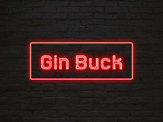 Gin Buck のネオン文字